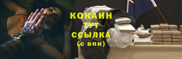 a pvp Алзамай