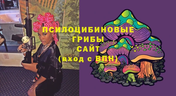 a pvp Алзамай