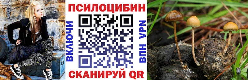 дарк нет наркотические препараты  Нижний Новгород  Галлюциногенные грибы мухоморы 